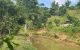 thum-m_hYwyM4OKiN_1752809866.jpg
