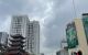 thum-9204505_tUVg1h6fZO_1752920999.JPG