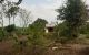 thum-9205040_K1eDNv8g04_1753243147.jpg