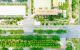thum-9205203_HdXJfgxCbT_1753326161.jpg