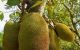 thum-9205234_N3K6wD8scj_1753332016.jpg