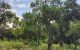 thum-9205234_Ui2KHtZGWe_1753332010.jpg