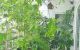 thum-9205293_RW7M9EvQTx_1753356049.jpg