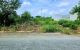 thum-9205407_J6N8kyTUAo_1753431474.jpg