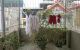 thum-9205654_LnWasKgz5U_1753589875.jpg