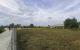 thum-9205696_8Ek9gaCvdq_1753617315.jpg