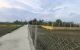 thum-9205696_xIFTOkJ5GE_1753617326.jpg