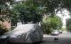 thum-9205761_oZGqjse9mD_1753670786.jpg