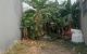 thum-9205837_qpPoMkAOdn_1753689682.jpg