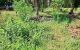 thum-9205876_Zsm8rPhUo7_1753695337.jpg