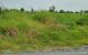 thum-9205877_MAzq4wB3UI_1753695973.jpg