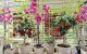thum-9205935_6rFtiPdT0R_1753716342.jpg