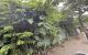 thum-9205970_aCDqhkgKU5_1753756512.jpg