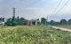 thum-9205991_5FqG71gisr_1753760351.jpg