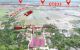 thum-9206064_LWfJFGMxhP_1753776362.jpg