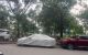 thum-9206081_ap7LufA3lt_1753778804.jpg