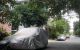 thum-9206126_nkgYdpywto_1753790201.jpg