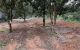 thum-9206170_6wJsPxAgH4_1753806047.jpg