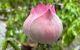 thum-m_VpHTWoeg9m_1753753712.jpg