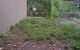 thum-9206184_ouMEWIdjpb_1753809355.jpg