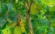thum-9206194_7NRwsQLv2z_1753811662.jpg