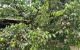 thum-9206194_dpH9XIY6kV_1753811668.jpg