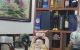 thum-9206279_5leInqjHJG_1753853471.jpeg