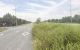 thum-9206359_1FLwaedEtG_1753870893.jpg