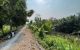 thum-9206363_UmTO0SNsez_1753871863.jpg