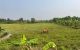 thum-9206363_zE94oL1KPY_1753871864.jpg