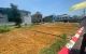 thum-m_JIoex21S0T_1753862533.jpg