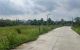 thum-m_w4VXoFIpaT_1753843671.jpg