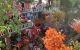 thum-9206394_G4O5rMKh2T_1753895862.jpg