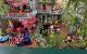 thum-9206394_bZjdiAoxp8_1753895858.jpg