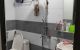 thum-9206464_86aP2gYcdi_1753936834.jpg
