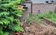 thum-9206469_79MSCztGhH_1753941095.jpeg