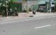 thum-9206507_RlkrJuTN0y_1753953568.jpg