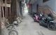 thum-9206524_Spg2uv4bPI_1753956531.jpg
