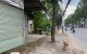 thum-9206534_eoaVZHb6Ek_1753958214.jpg