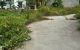 thum-9206572_obVcFt1lM2_1754011426.jpg