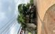 thum-9206580_JlxoRvQhWM_1754014957.jpg