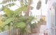 thum-9206589_F7Vc86lIaO_1754016103.jpg