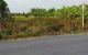 thum-9206608_7K6OLnjiXZ_1754020830.jpg