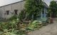 thum-9206650_eVou67lbUL_1754036435.jpg