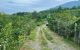 thum-9206668_aSDqjHQ5k8_1754040283.jpg