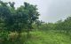 thum-9206668_yx4Q9juflB_1754040293.jpg