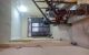 thum-9206689_I7egCHyjv6_1754054095.jpg