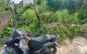 thum-9206714_FzJKXUPlWO_1754102248.jpg