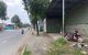 thum-9206825_FZ8MqjiUJ3_1754146995.jpg