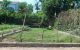 thum-m_ocKXhe8lOT_1754123988.jpg